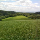 výhľad