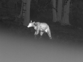 Tak sme sa včera videli konečne Face to Face