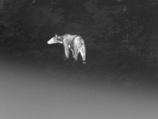 Tak sme sa včera videli konečne Face to Face 2.