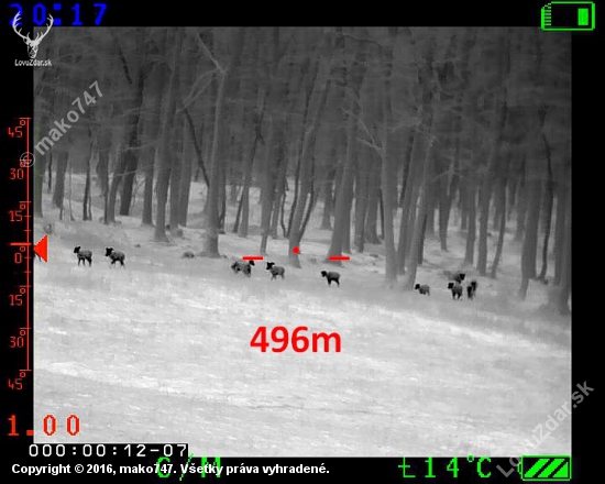 Muflonia zver v termovízii na 500m. A vidieť aj tulajky...
