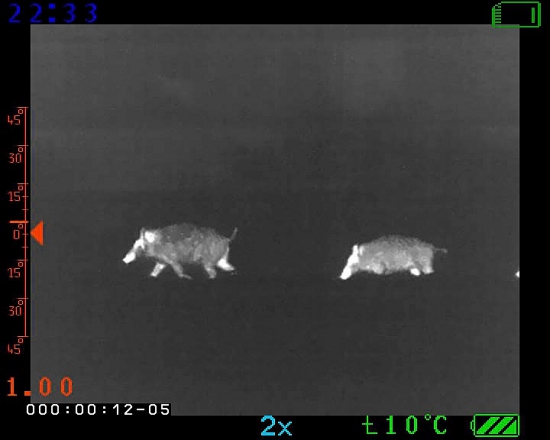 Z včerajšej nočnej túlačky horou