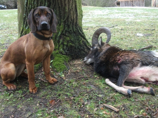 Poslední v roce 2012