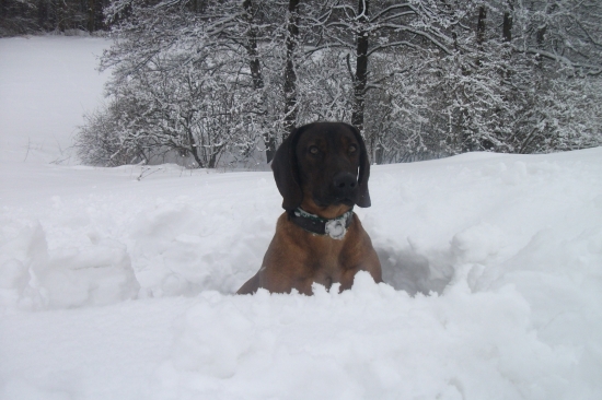 Už ho je dost a zase padá