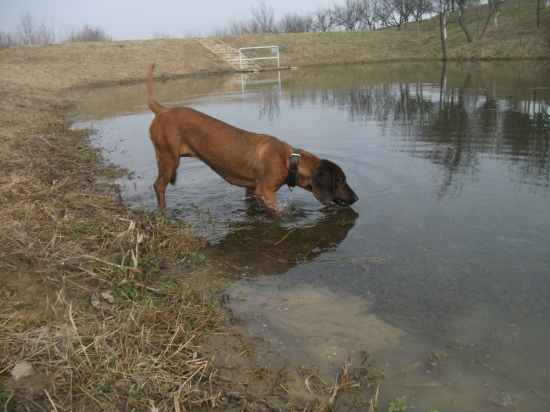 Brrrrrr ta je ale studená