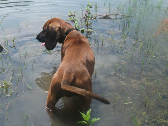 Ochlazení přijde vhod
