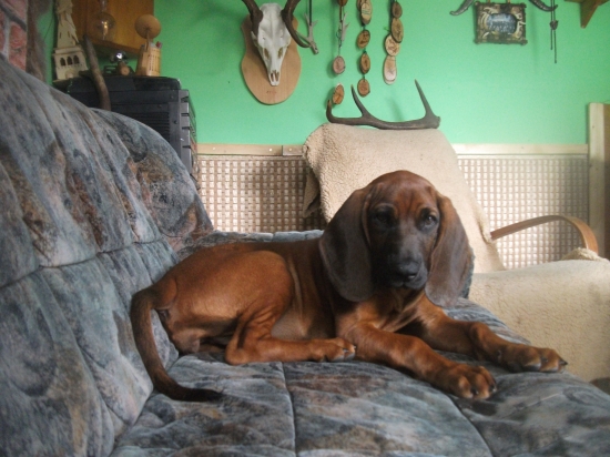 Relax v chládku ...