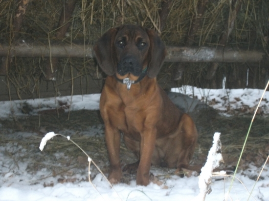 Na kontrole krmelců