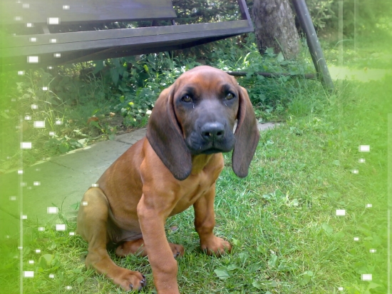 Ještě jako barvářské mimčo