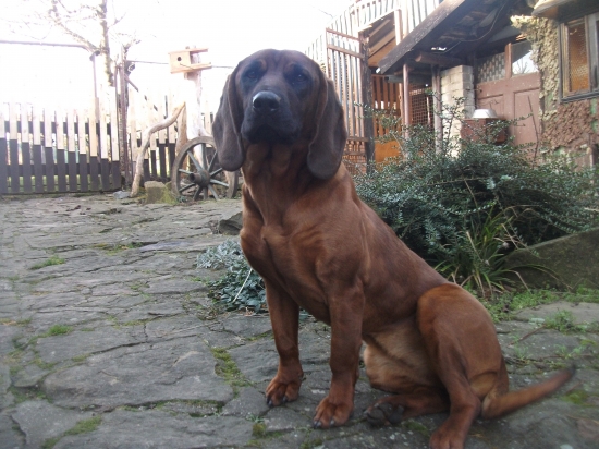 Diana už má 9 měsíců