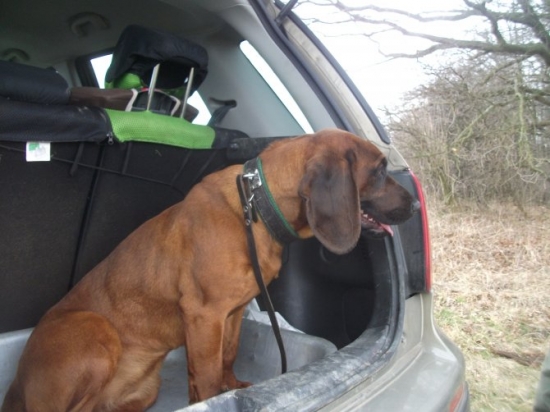 Vystupujem..........