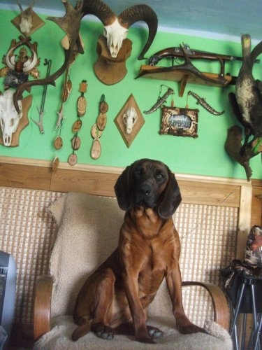 ....a kávička nebude :-)