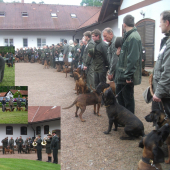Klubová výstava 2014