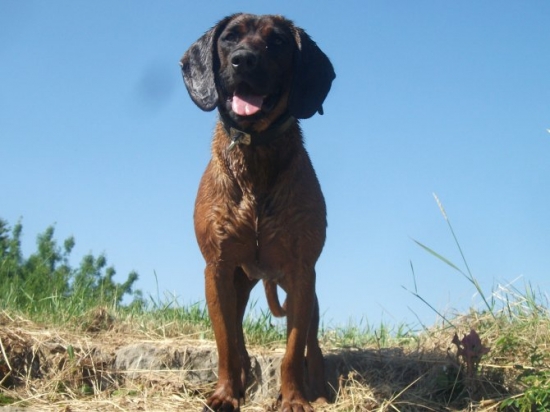 Ochlazení příjde vhod......