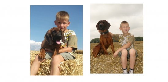 Po roce - najdi rozdíl :-)