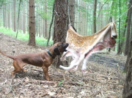 Na konci umělé.......