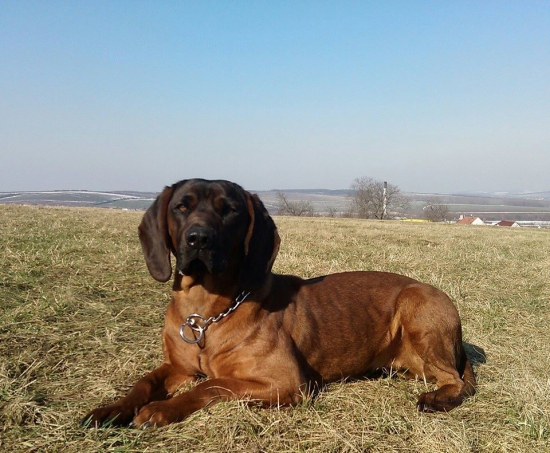 Dnešní téměř jarní počasí