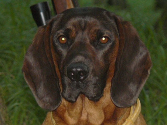 Podvečerní profilovka :-)