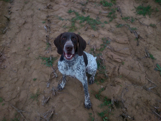 Car od Dvorčanskeho potoka-kamarát na 1tku