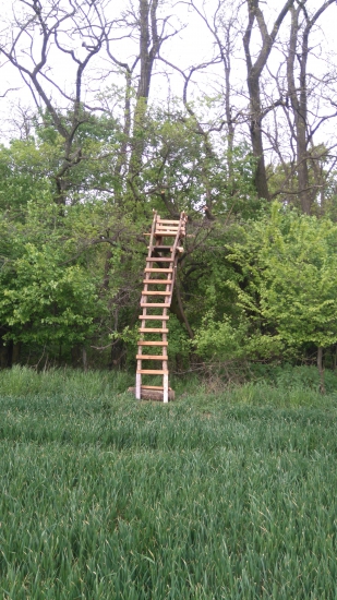 uz je na svojom mieste