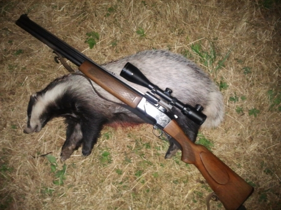 Prvy jazvec 3.9.2011