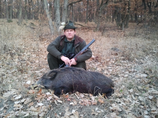 Revolucny diviak.......