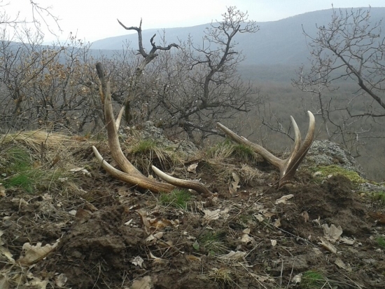 dnesna parka na ,,kamenci,, ......