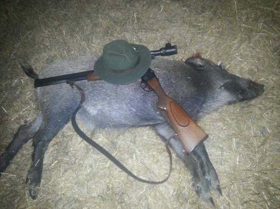 Sobotny.... 7 v sezone....Lovu Zdar