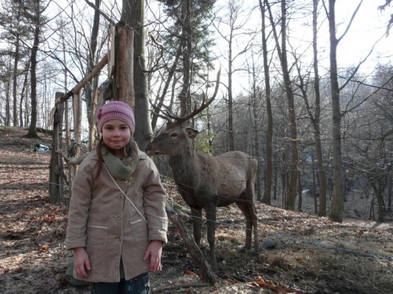 Viktoria a jelen Miso