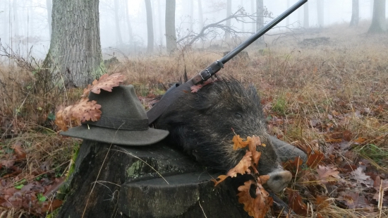 Diviača z hmlistého rána. . . Lovu Zdar.