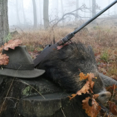 Diviača z hmlistého rána. . . Lovu Zdar.