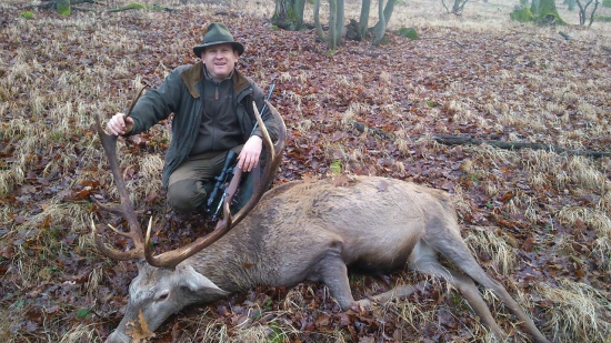 Jeleň z pod Rakytovského močiara  ...