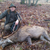 Jeleň z pod Rakytovského močiara  ...