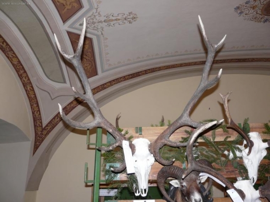 Chovateľská prehliadka vo Svätom Anone