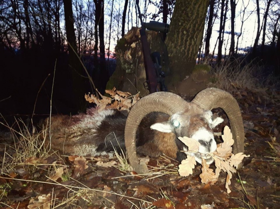 Posledný do plánu...Lovu Zdar priatelia...