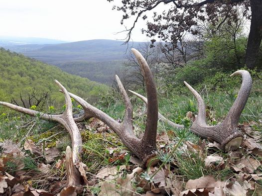 Nedelna prechadzka...