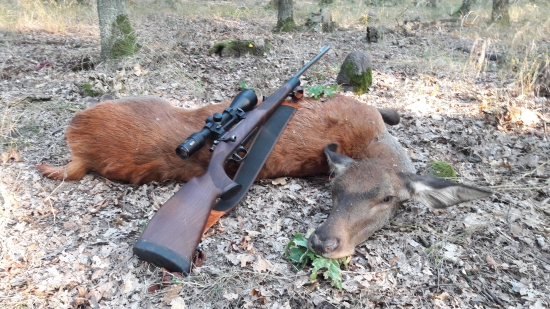 Lovu Zdar priatelia...