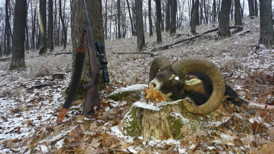 Lovu Zdar priatelia...