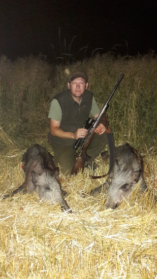 Na čerstvo pokosenom strnisku...