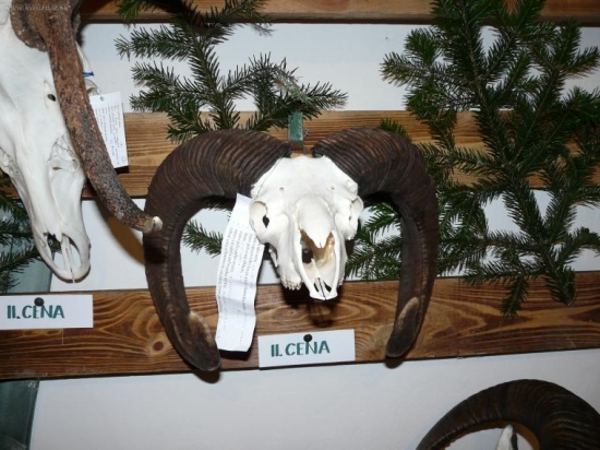 Chovateľská prehliadka vo Svätom Anone