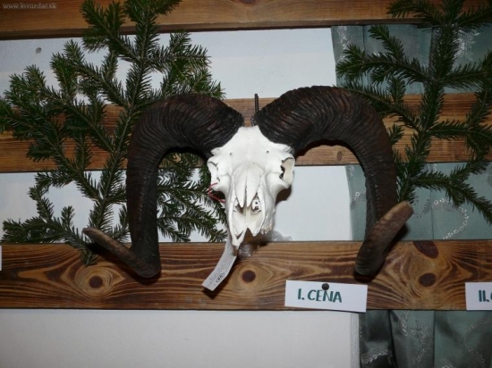 Chovateľská prehliadka vo Svätom Anone