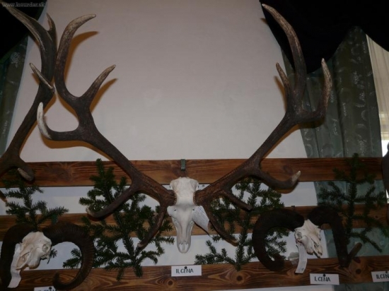 Chovateľská prehliadka vo Svätom Anone