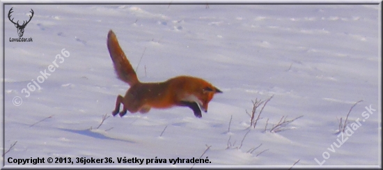 lietajúca :D