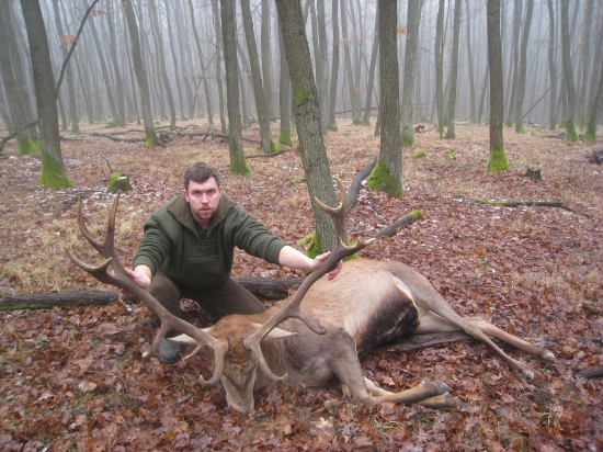 Vianočný darček 2013