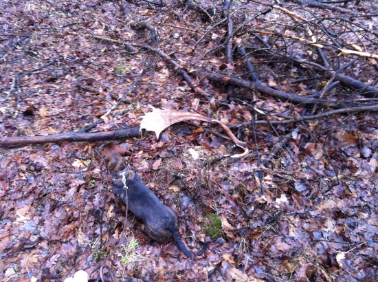 Môj úplne prvý zhod