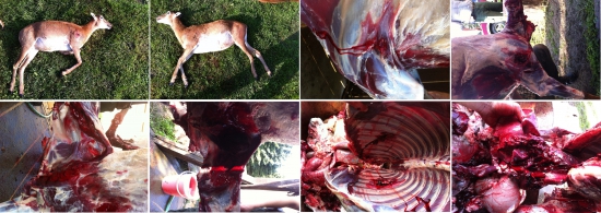 Barnes TTSX 168gr. 30-06 Spr,