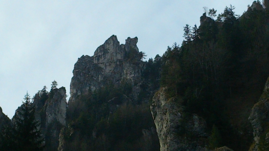 Ťava