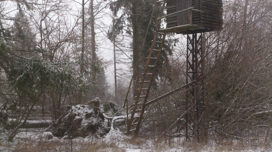 Našťastie sa nič nestalo