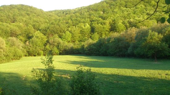 Z posedu