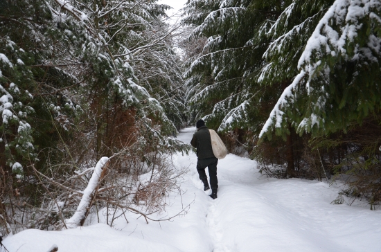 stále a opät sa prikrmuje