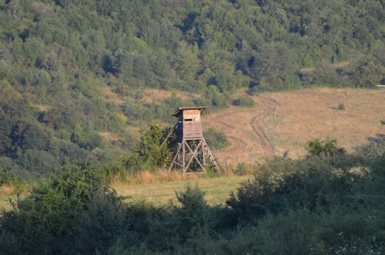 rana posliedka
